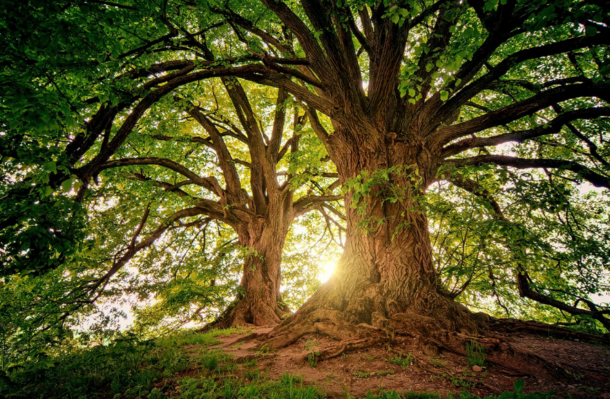 earth day, dan planeta zemlja